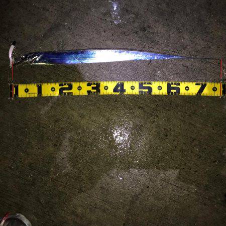 ドラゴンを求めて!!